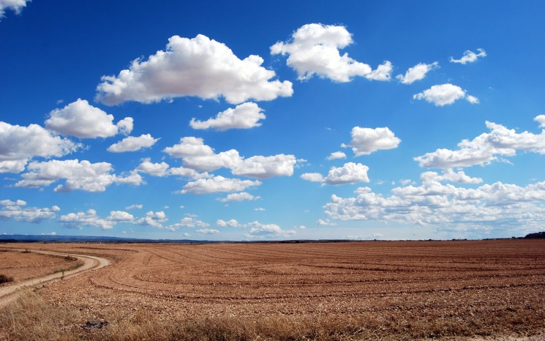 Droogtes schreeuwen om duurzame landbouw
