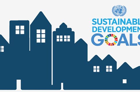 Nederland als goed voorbeeld voor de SDGs?