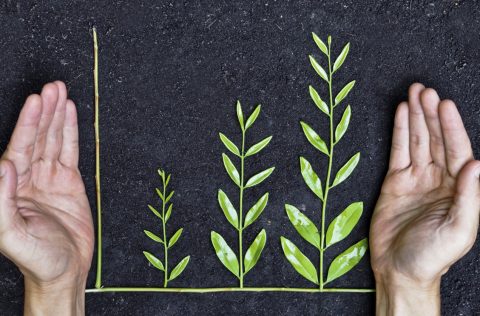 Hoe denken Nederlanders over de SDGs?