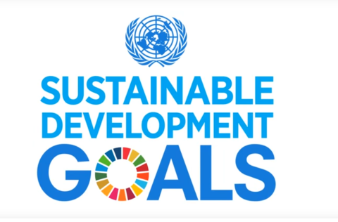 Hoe staat het met de SDGs in Nederland?