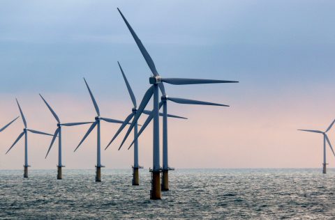 Zo staat het volgens NWEA met de windenergie in Nederland