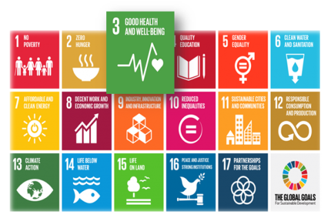 Nederland, mondiale gezondheid en de SDGs, gaat dit samen?