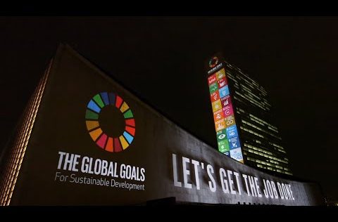 OneWorld en het SDG Charter zijn op zoek naar een nieuwe stagiair! Kom jij ons team versterken?