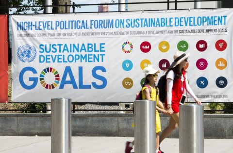 HLPF 2020: Een urgente vergadering onder bizarre omstandigheden