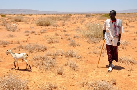‘Zero hunger’ wordt lastige taak voor VN