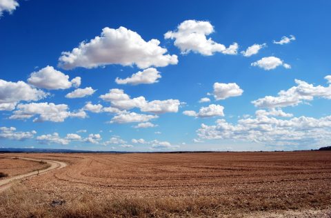 Droogtes schreeuwen om duurzame landbouw