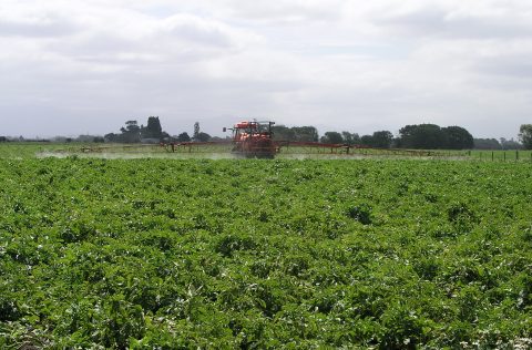 Lokale uitdagingen voor duurzame consumptie en productie