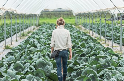 Het Groene Brein: “Coronacrisis legt zwakke punten van economie bloot”