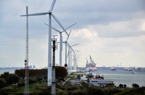 Ysubsidie: “Niet voor elke SDG evenveel subsidies beschikbaar”