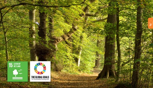 SDG 15 | Een eigen bos voor natuureducatie en onderzoek