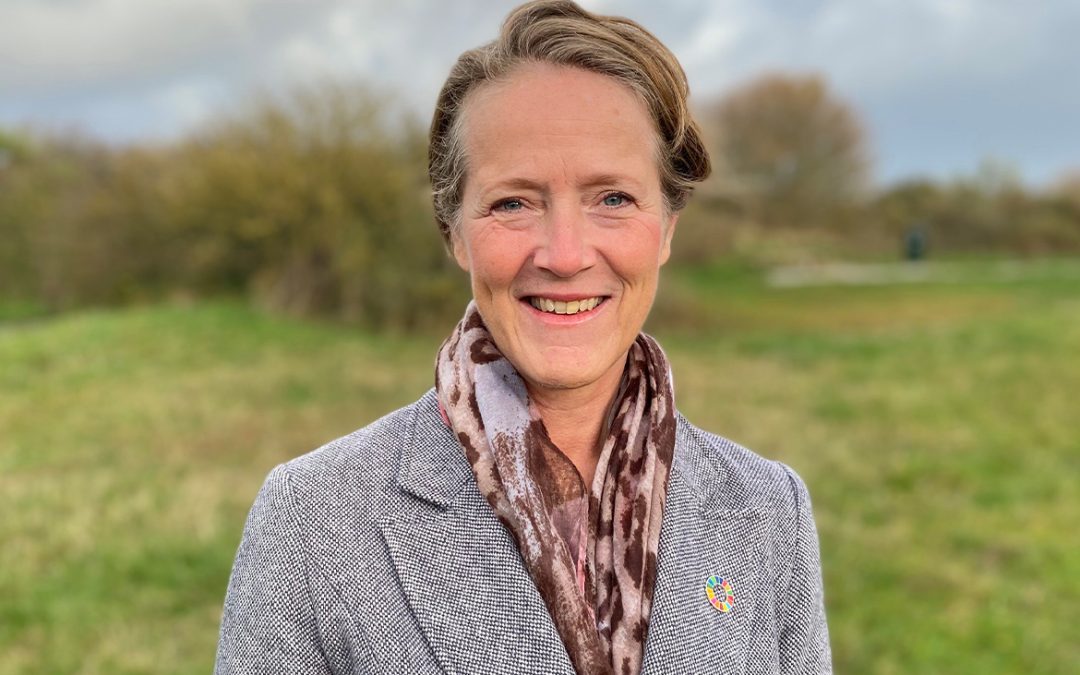 Column | Doorpakken op duurzaamheid om uit machteloos gevoel crises te komen