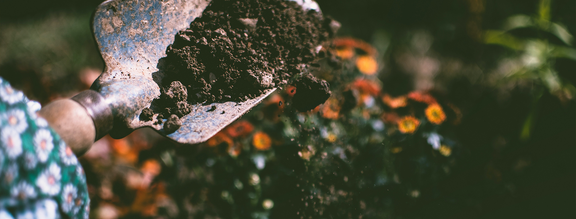 Voor ieders welzijn: natuur ondersteunend beleid kan miljoenen nieuwe banen creëren