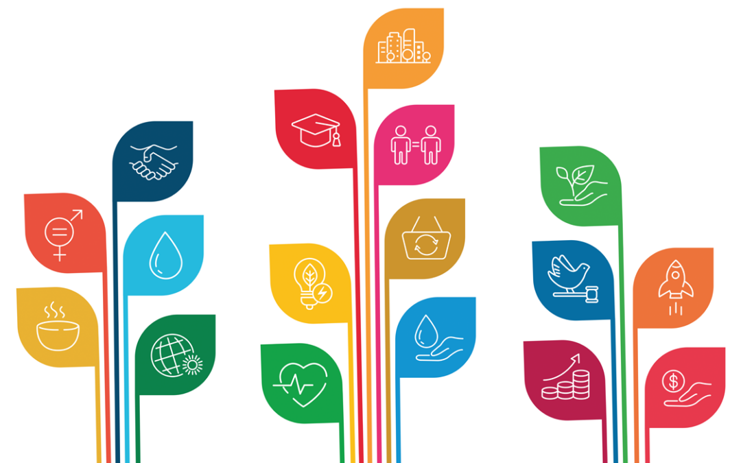 De Nationale SDG Rapportage: zo staan we er voor