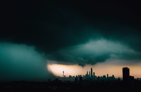 Voor elke euro besteed aan natuurbescherming, gaat er 30 euro naar de vernietiging ervan