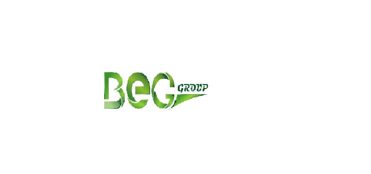 BIO ENERGY GROUP LLC 