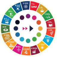 SDG Facilitators 