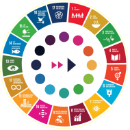 SDG Facilitators