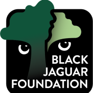Black Jaguar Foundation 