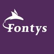 Fontys Hogescholen (Fontys Centre for Entrepreneurship) 